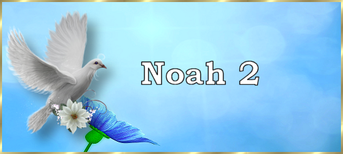 Noah2
