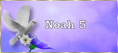 Noah5