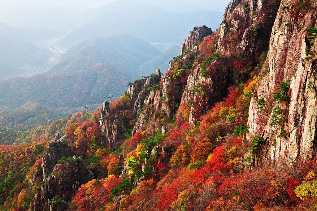 mountain, autumn leaves, autumn-1243486.jpg